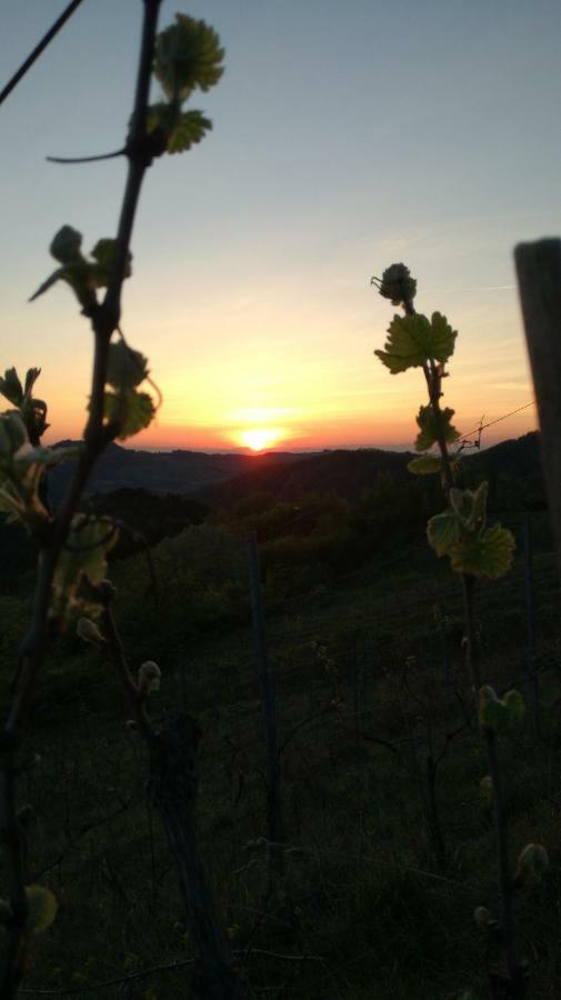 Momperone Oasi Di Mastarone - Il Vino E Le Roseヴィラ エクステリア 写真